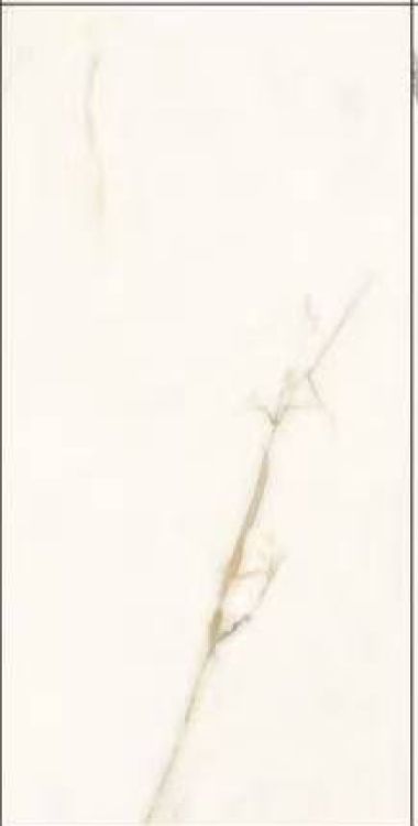 Time Dorado Matte 12 x 24